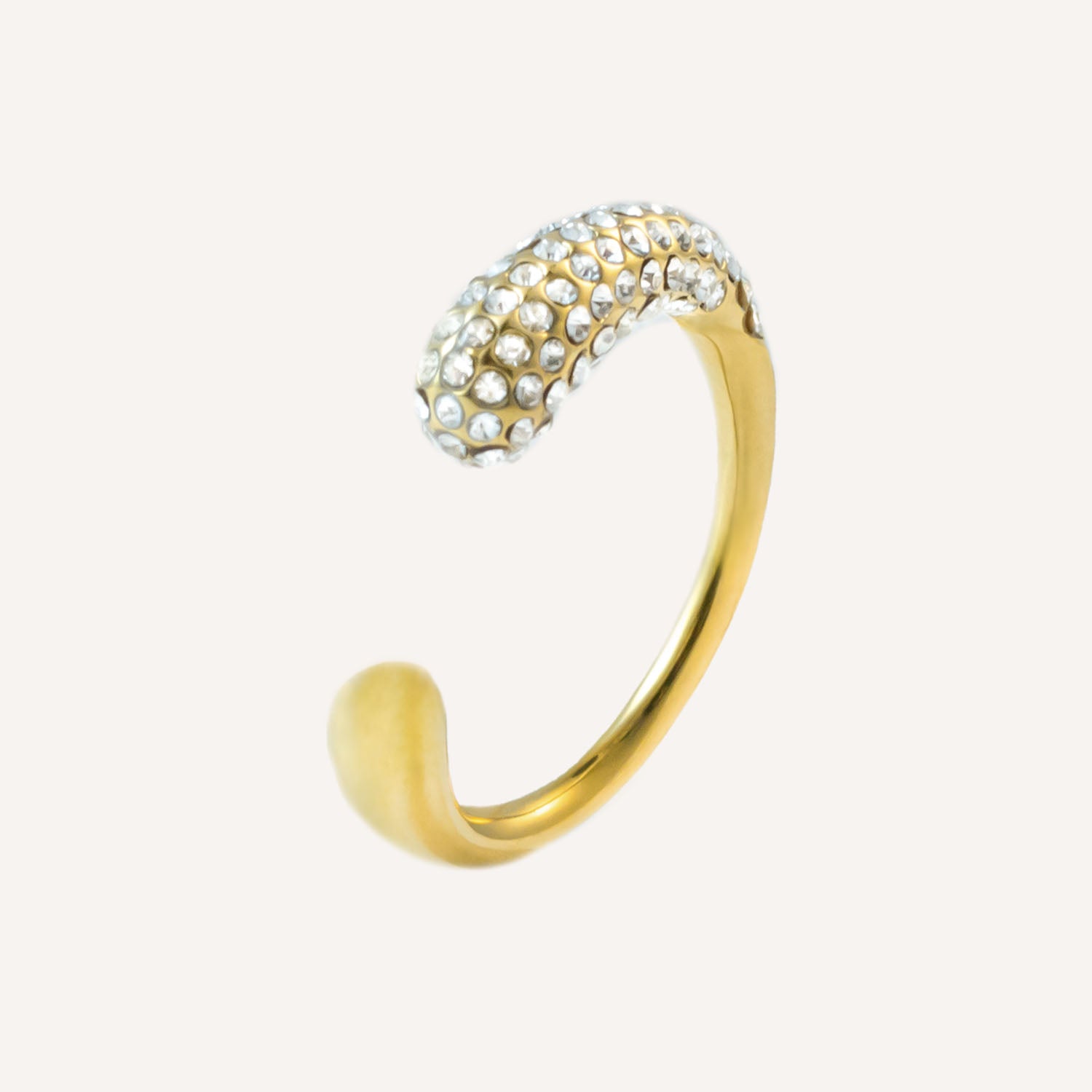 Ring Purina